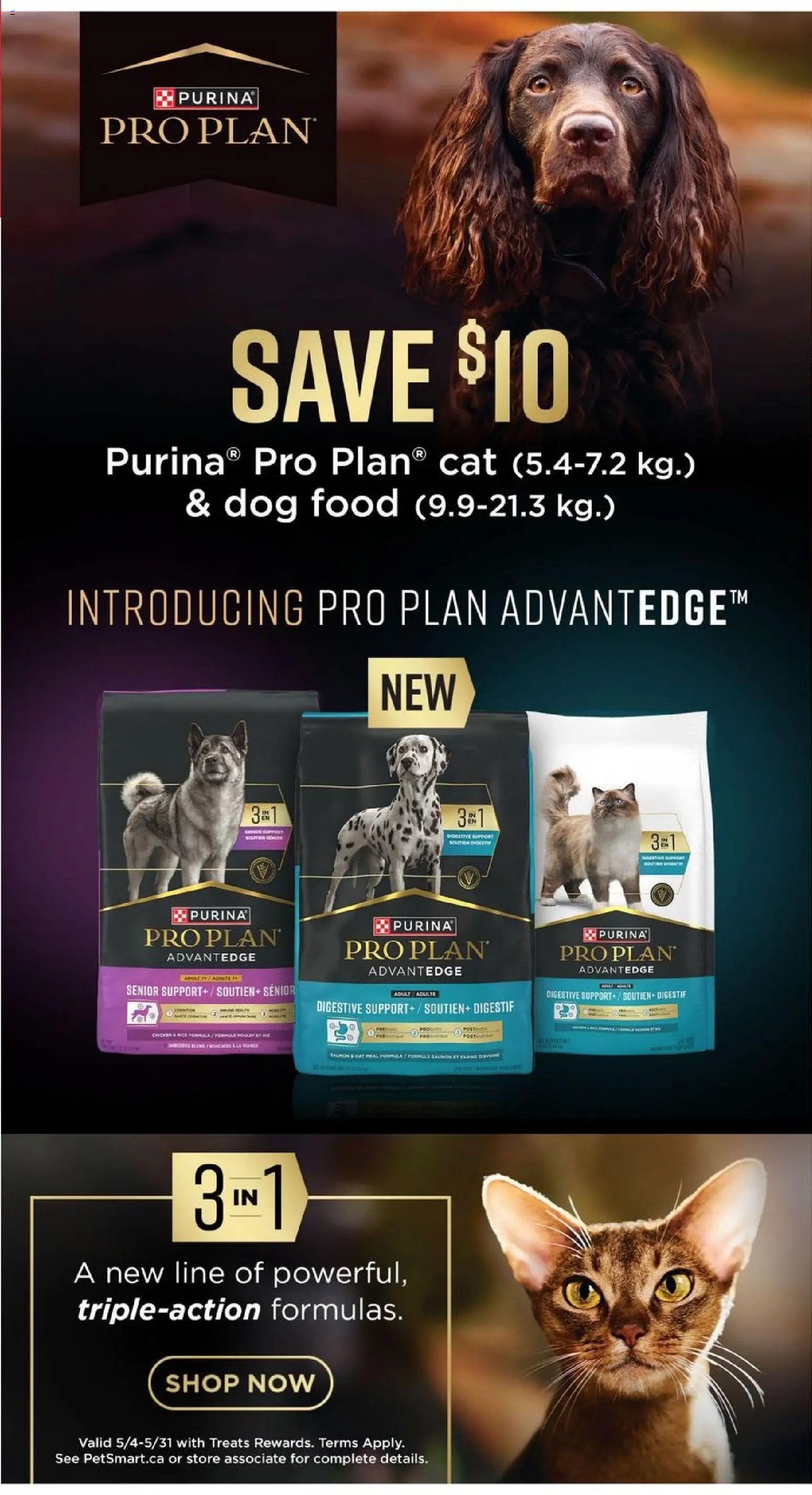 Petsmart - Summer Flyer (2026-05-11 - 2026-05-31) | 5