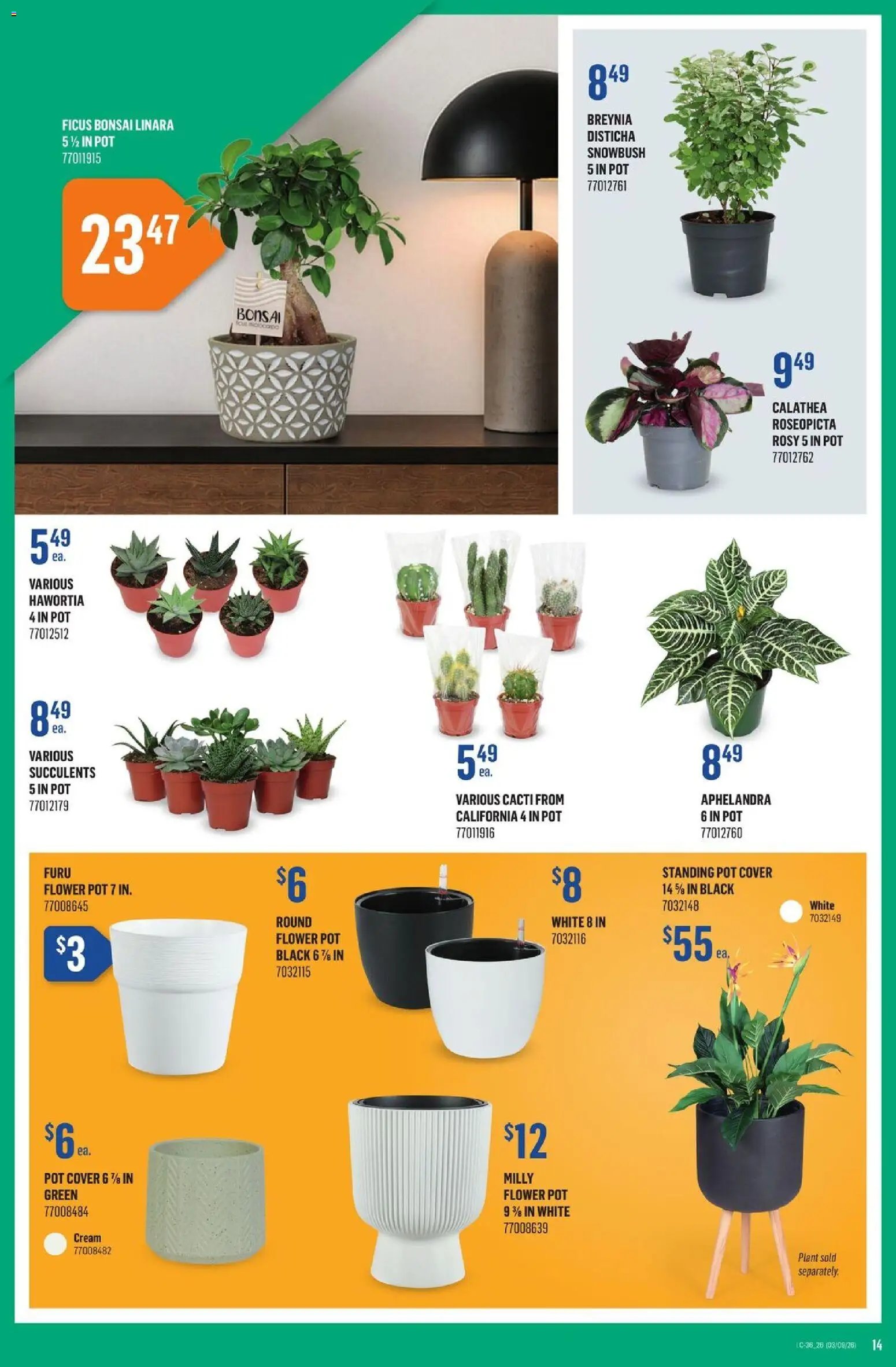 Canac weekly flyer