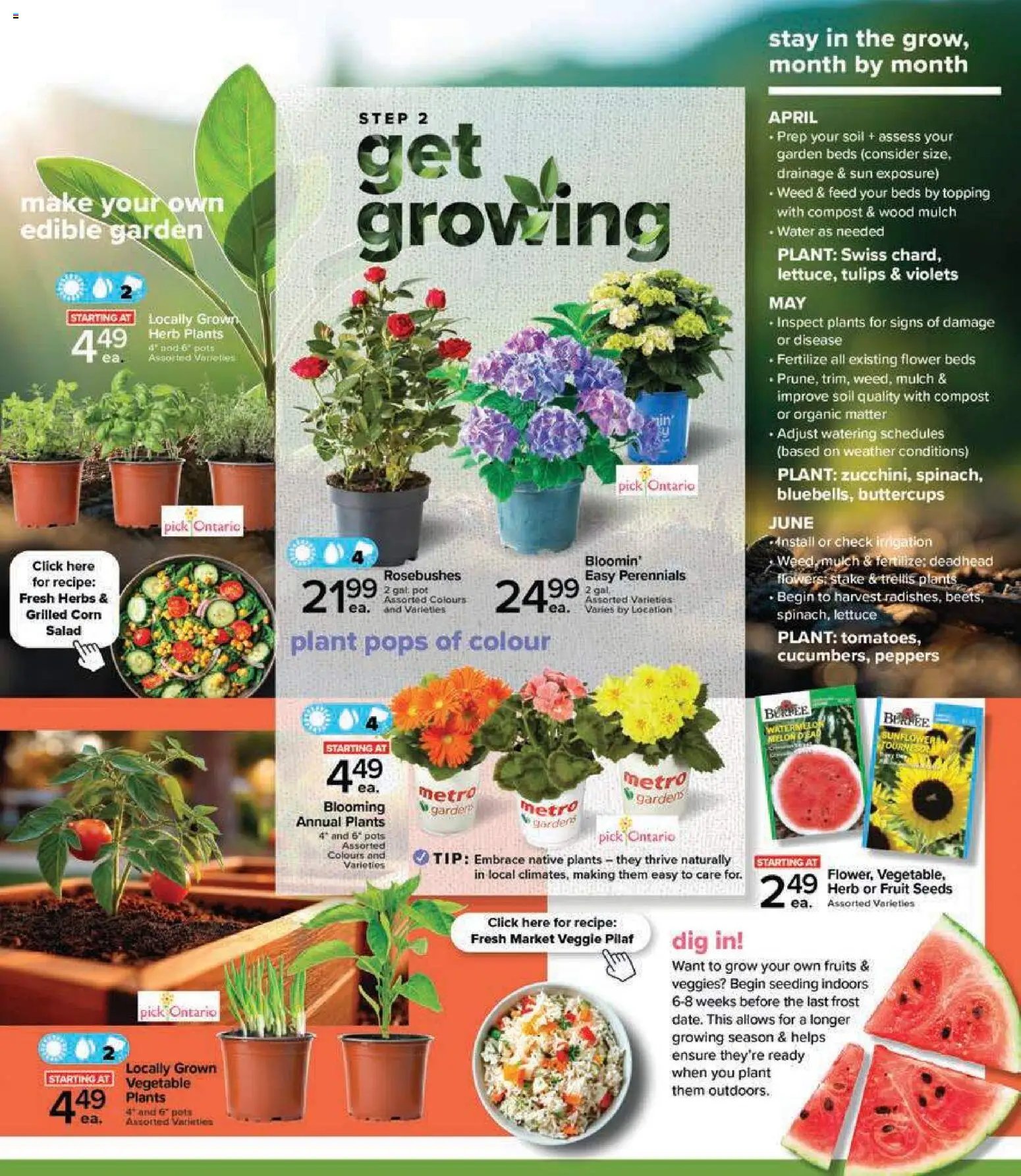 Metro Garden Centre Flyer - Trois-Pistoles