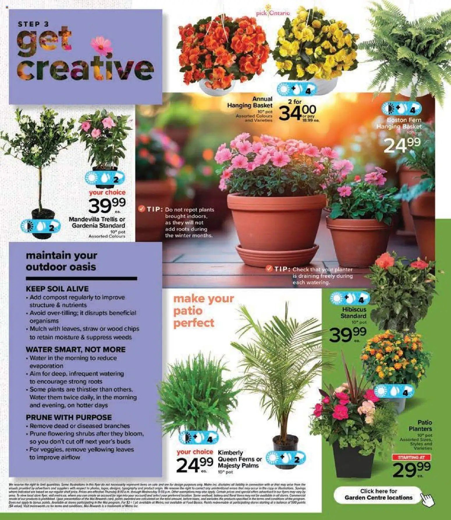 Metro Garden Centre Flyer - Trois-Pistoles