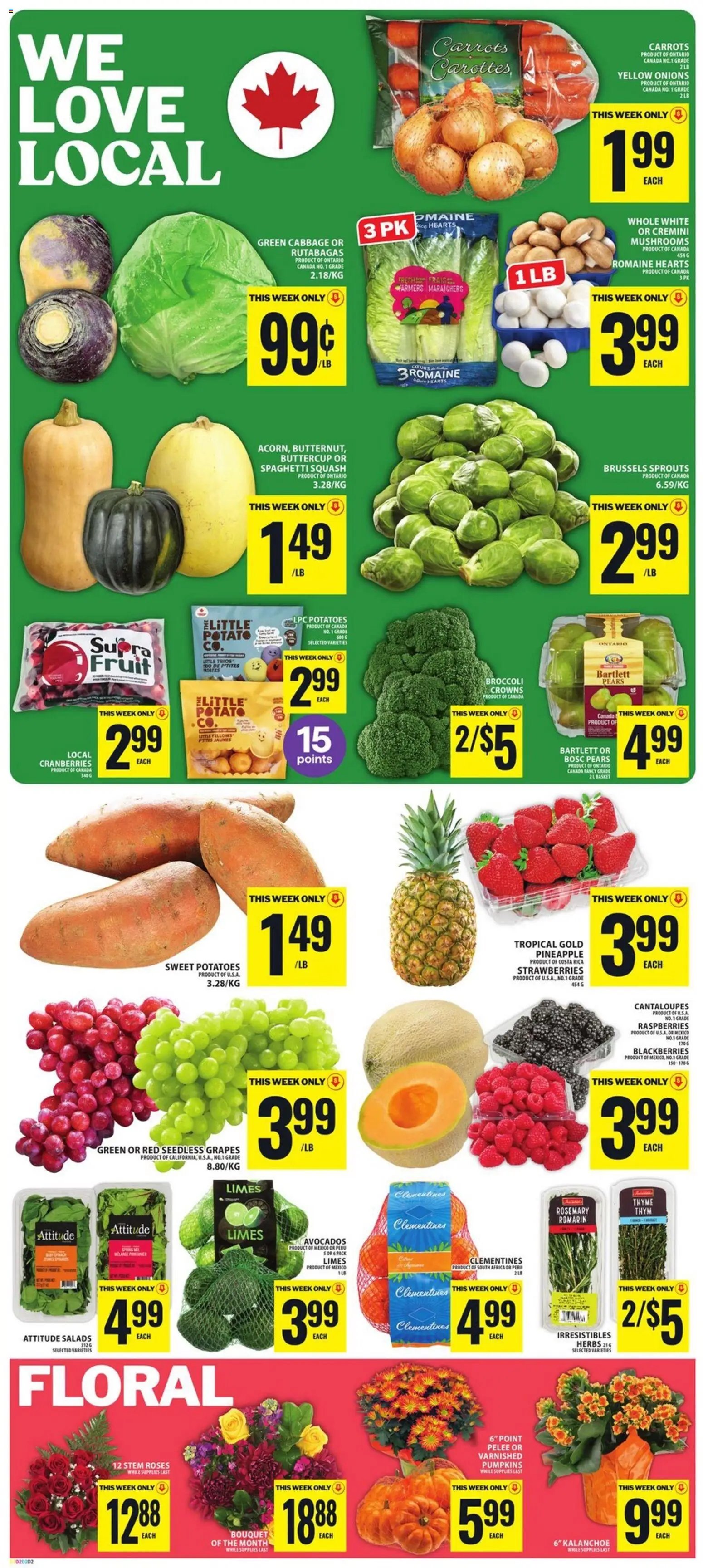Food Basics weekly flyer / circulaire