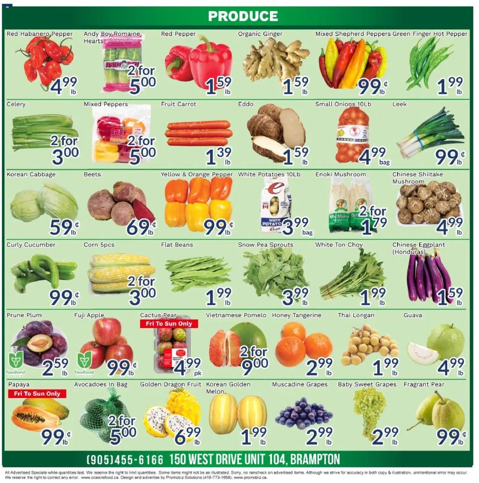 Oceans weekly flyer - Brampton