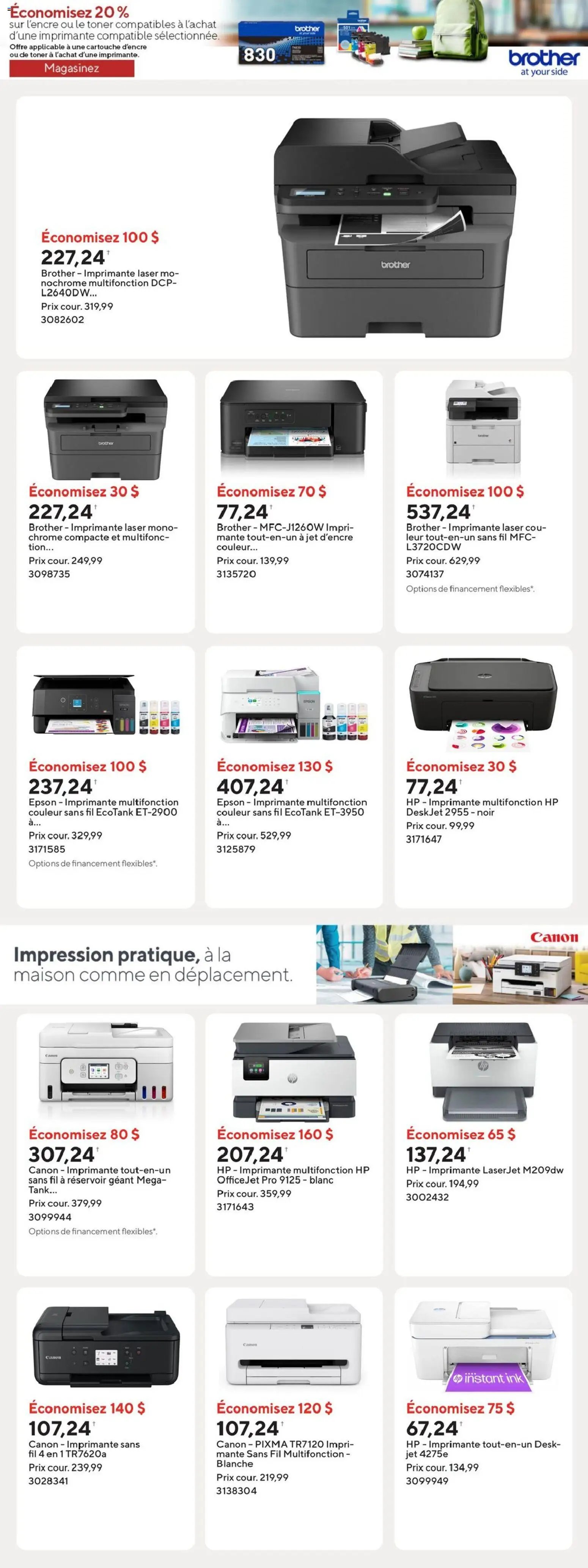 Staples circulaire