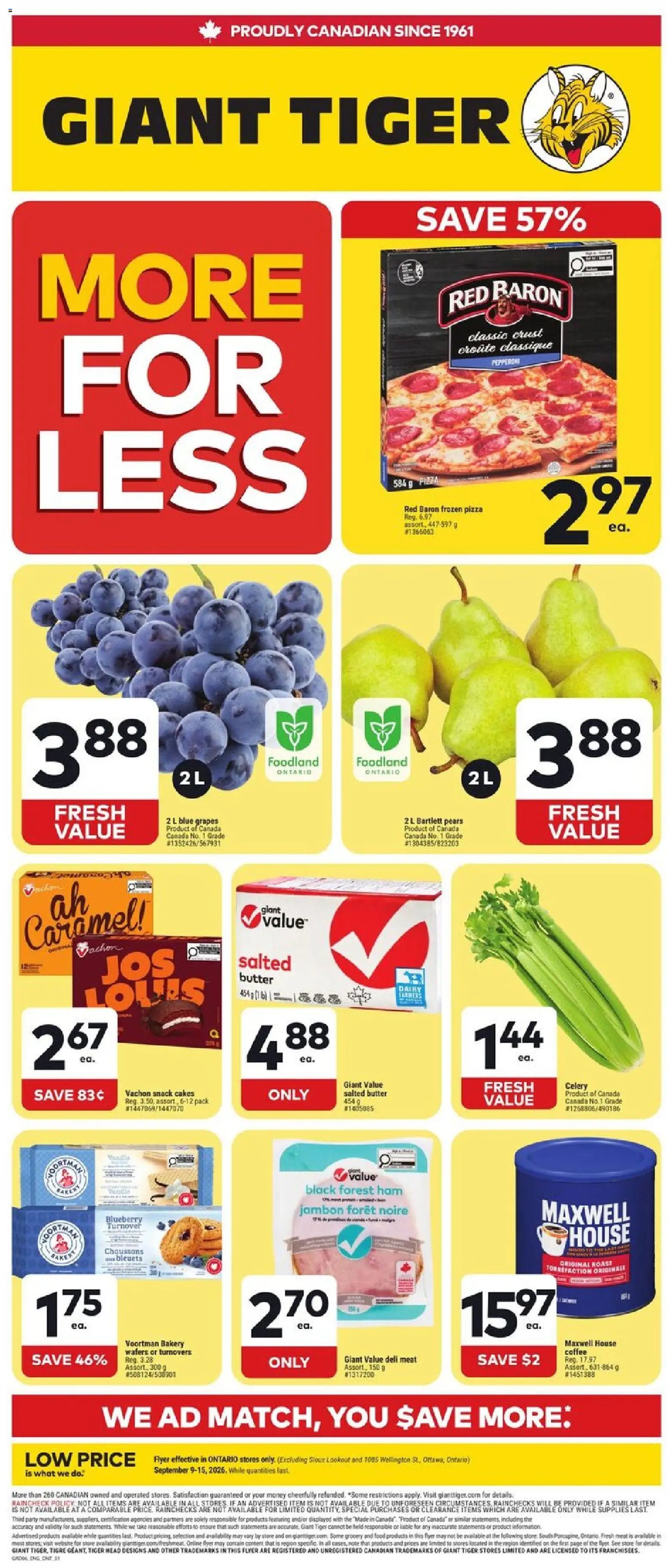 Giant Tiger Weekly Flyer