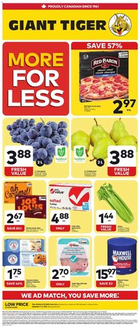 Giant Tiger Weekly Flyer