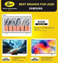 Leon's flyer - BBFL Electronics