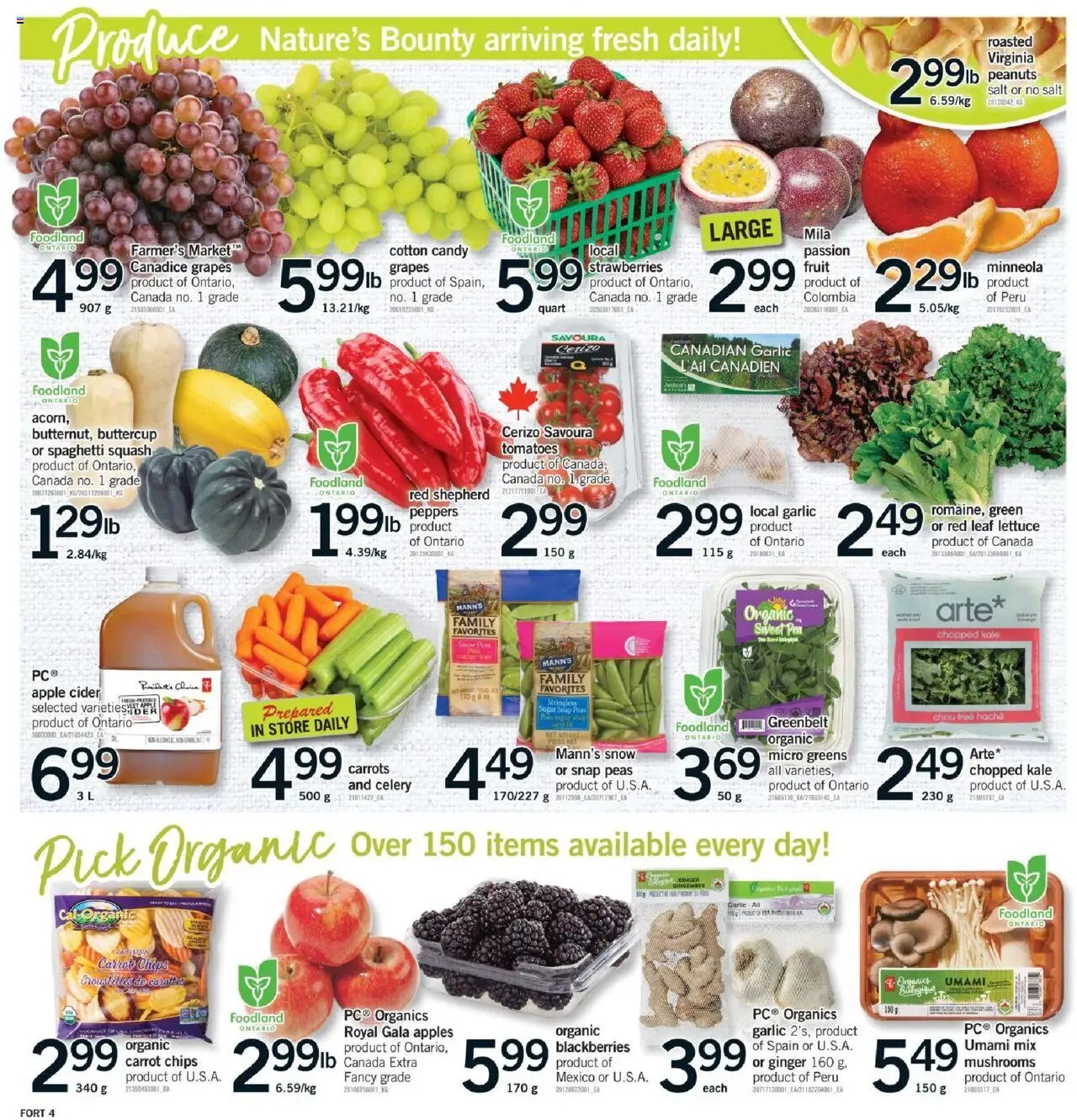 Fortinos - Brampton