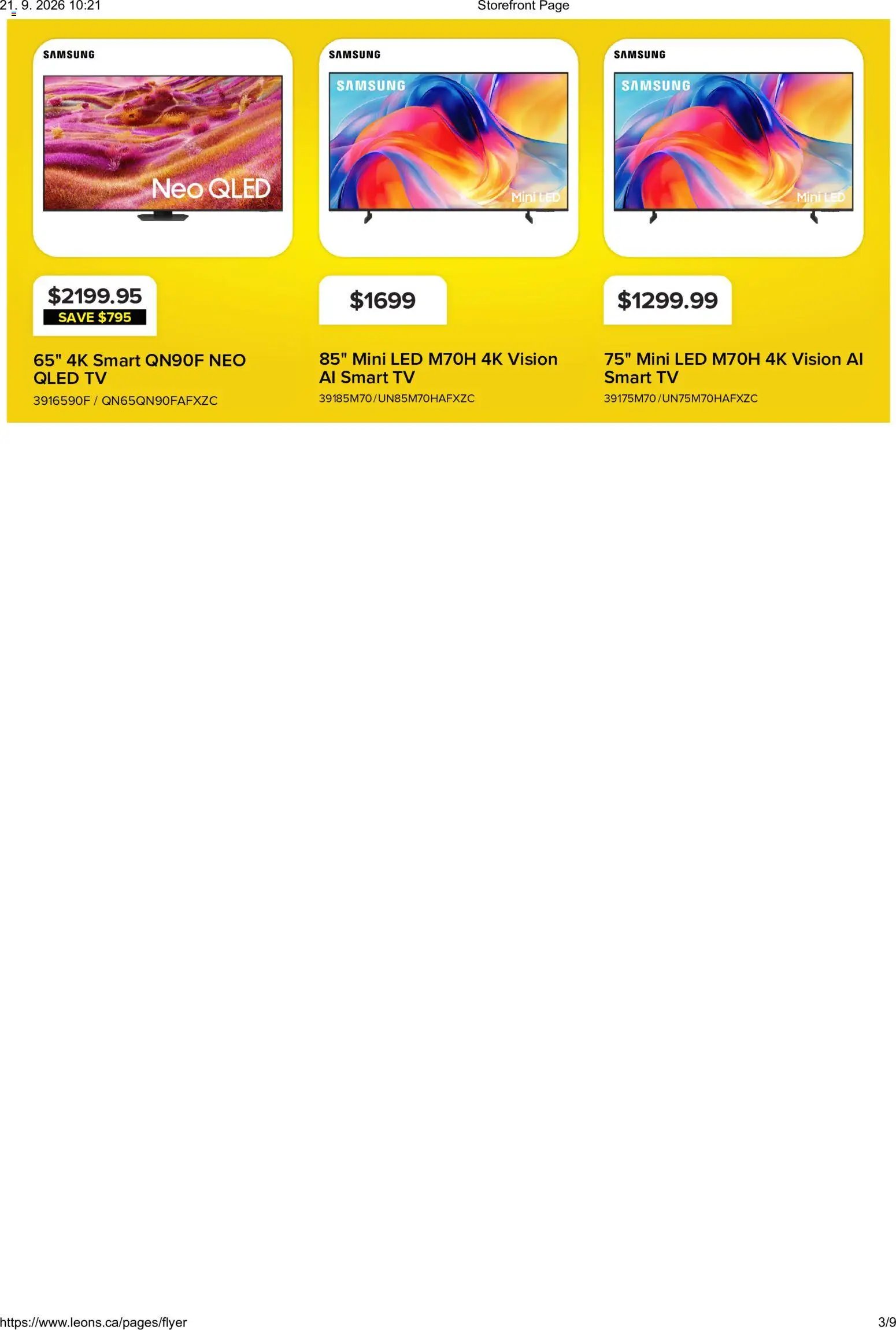 Leon's flyer - BBFL Electronics