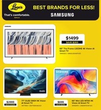 Leon's flyer - BBFL Electronics