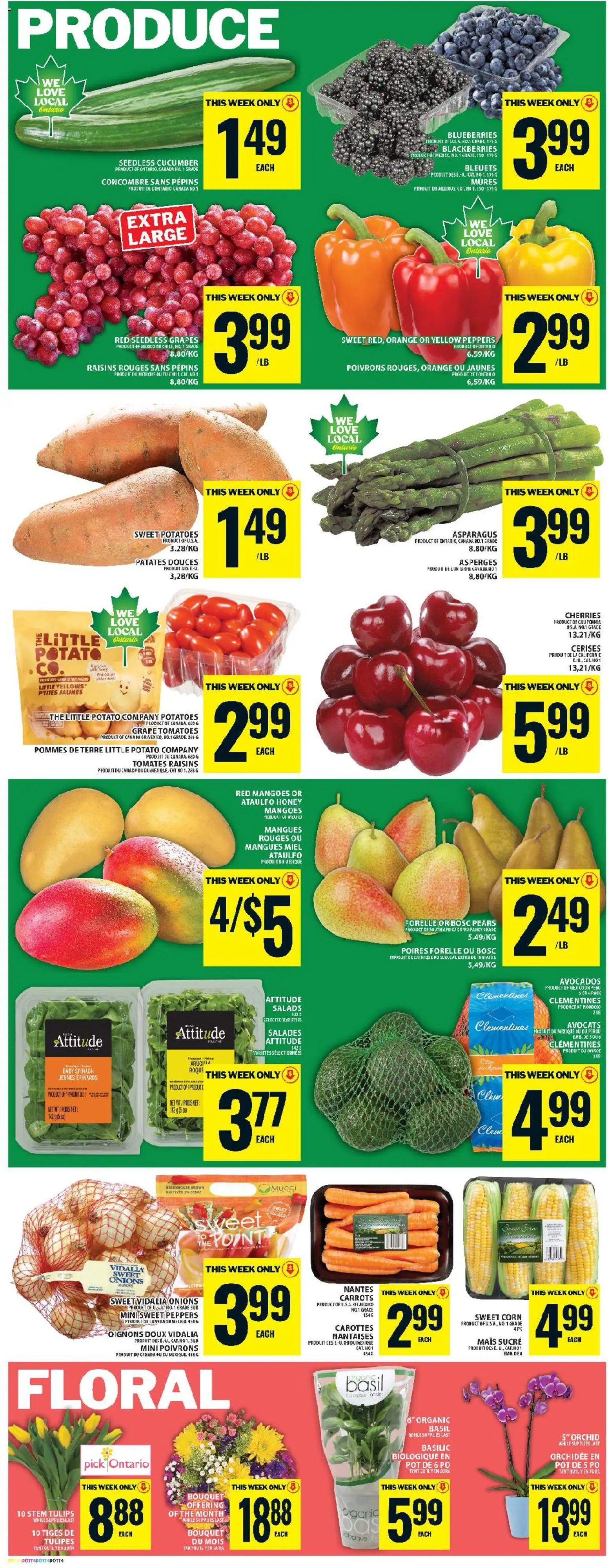 Food Basics weekly flyer - Kanata