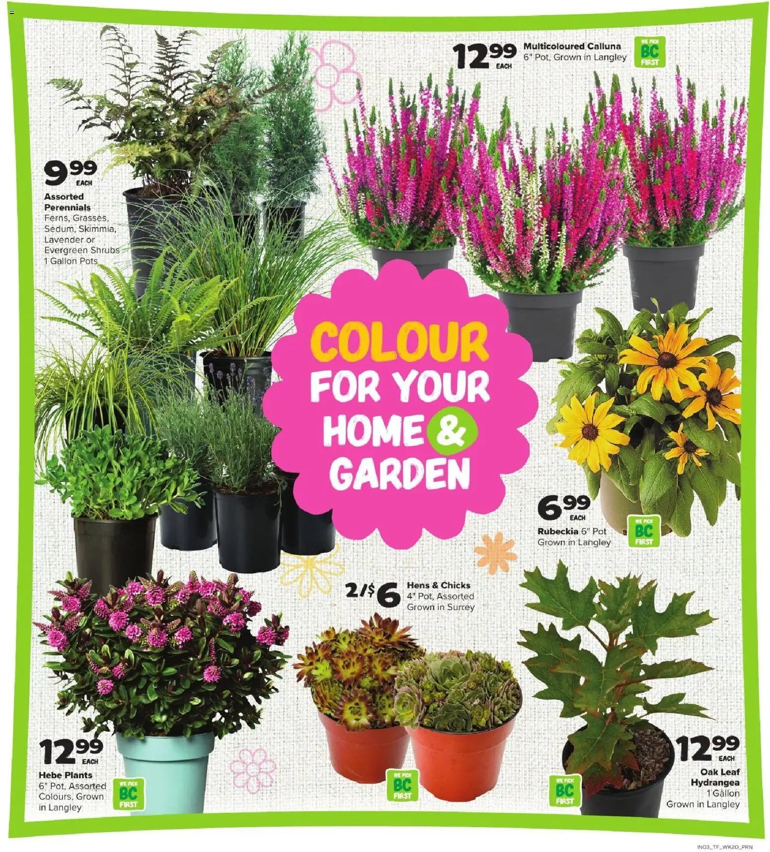 Thrifty Foods weekly flyer / circulaire
