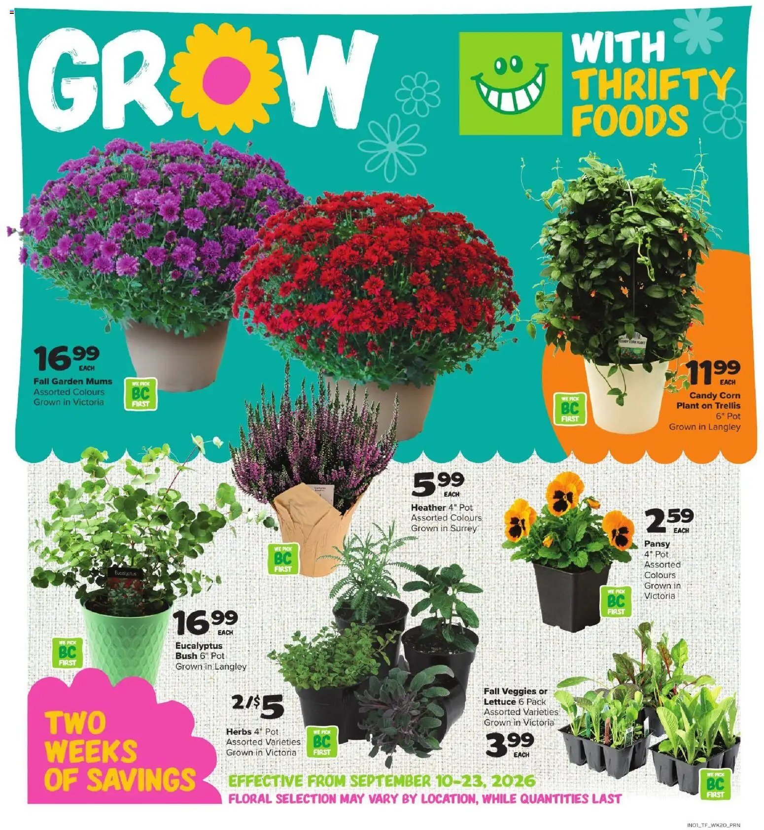 Thrifty Foods weekly flyer / circulaire