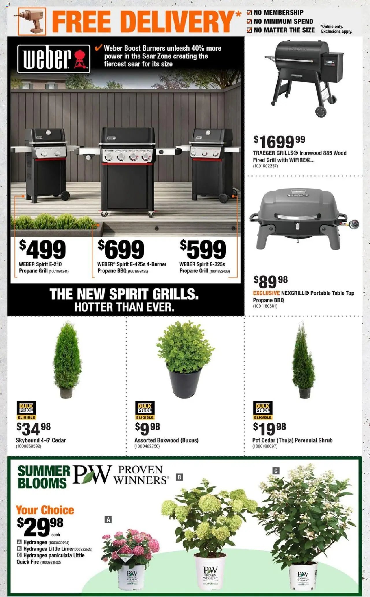 Home Depot flyer - AB