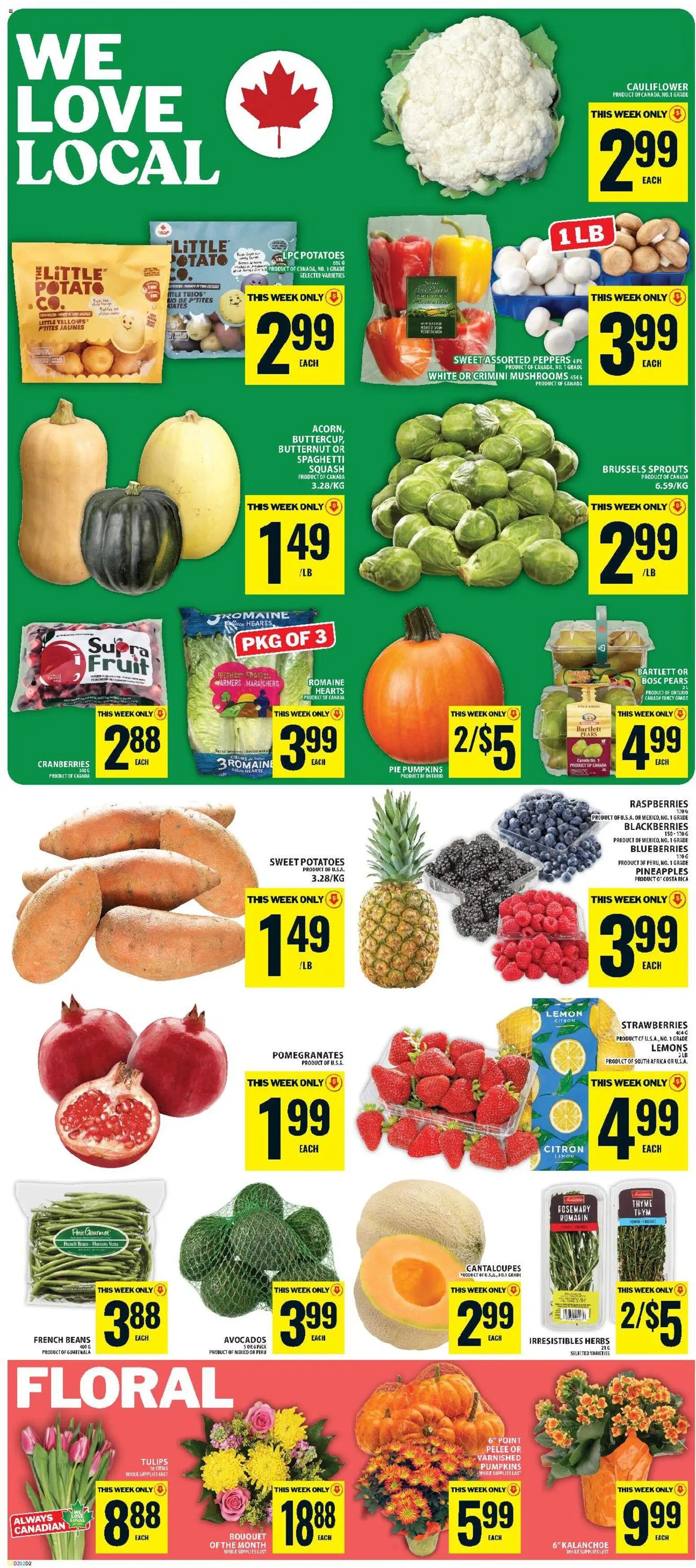 Food Basics weekly flyer / circulaire