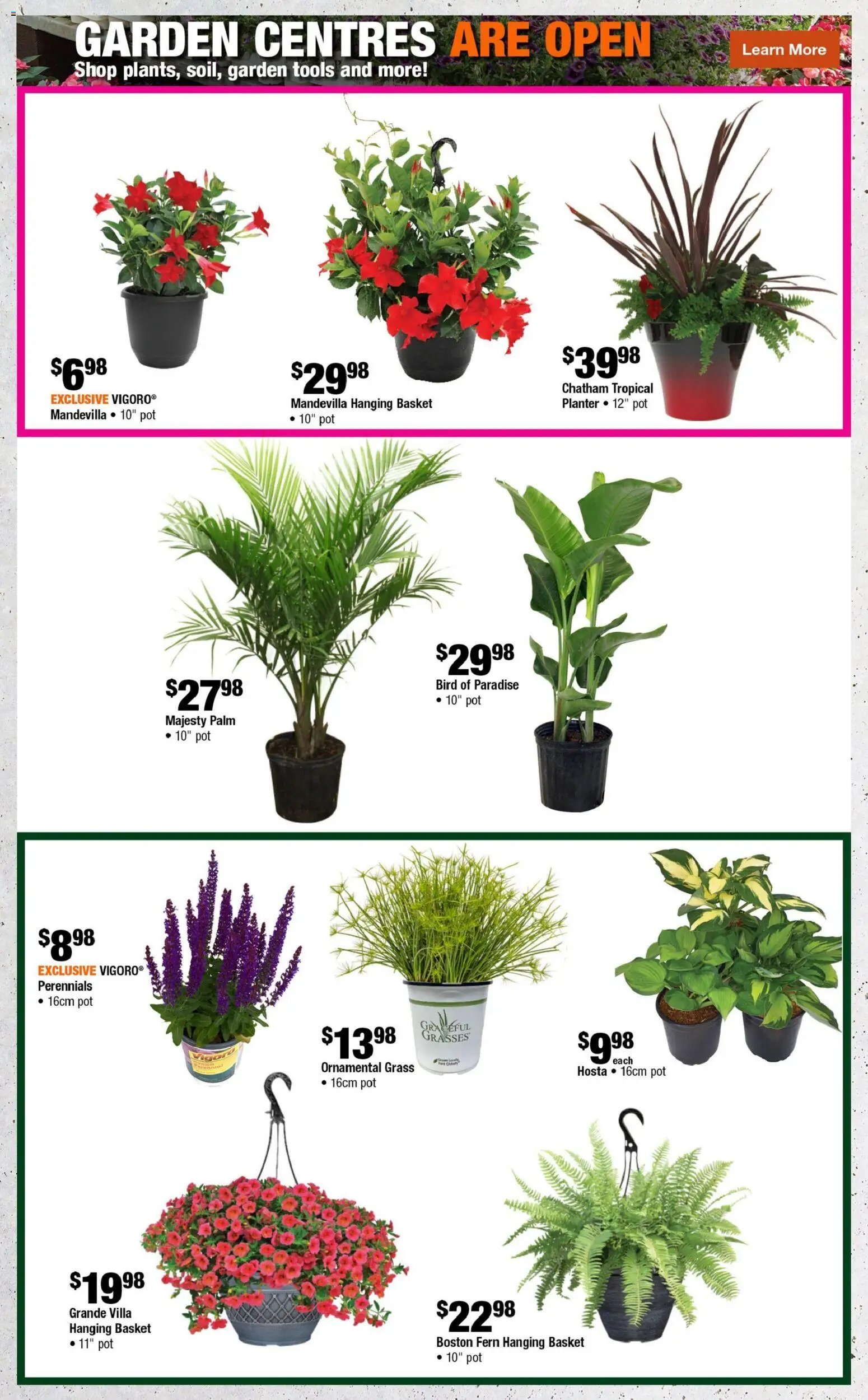 Home Depot weekly flyer - BC