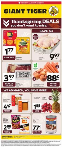 Giant Tiger Weekly Flyer