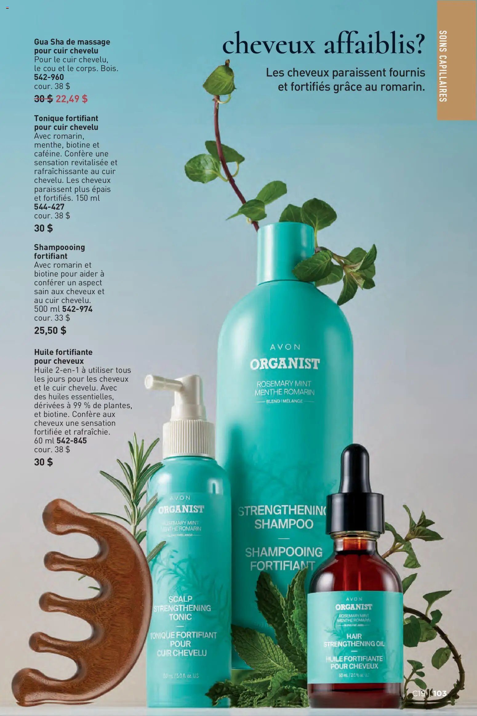 Avon Brochure Campagne