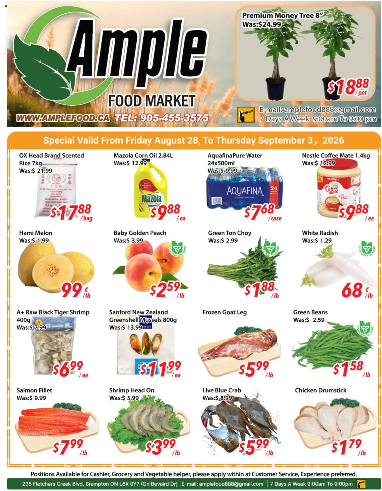 Ample Food Market weekly flyer / circulaire
