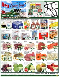 Ample Food Market  weekly flyer Toronto York