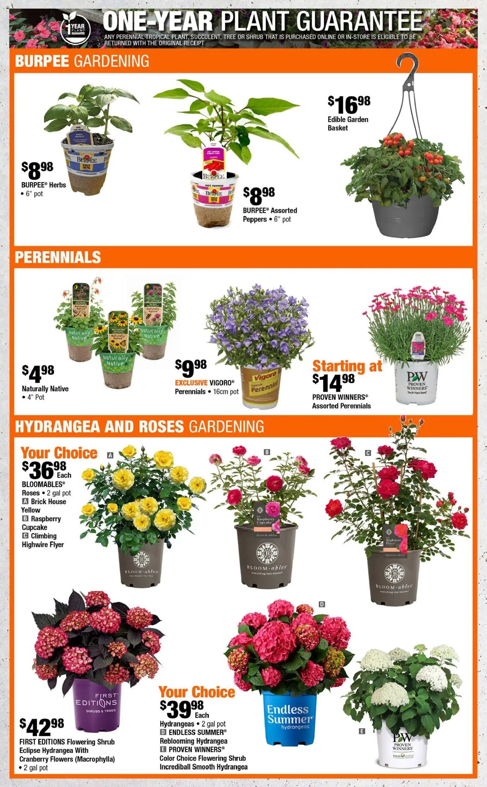 Home Depot weekly flyer - BC (2026-05-14 - 2026-05-27) | 4