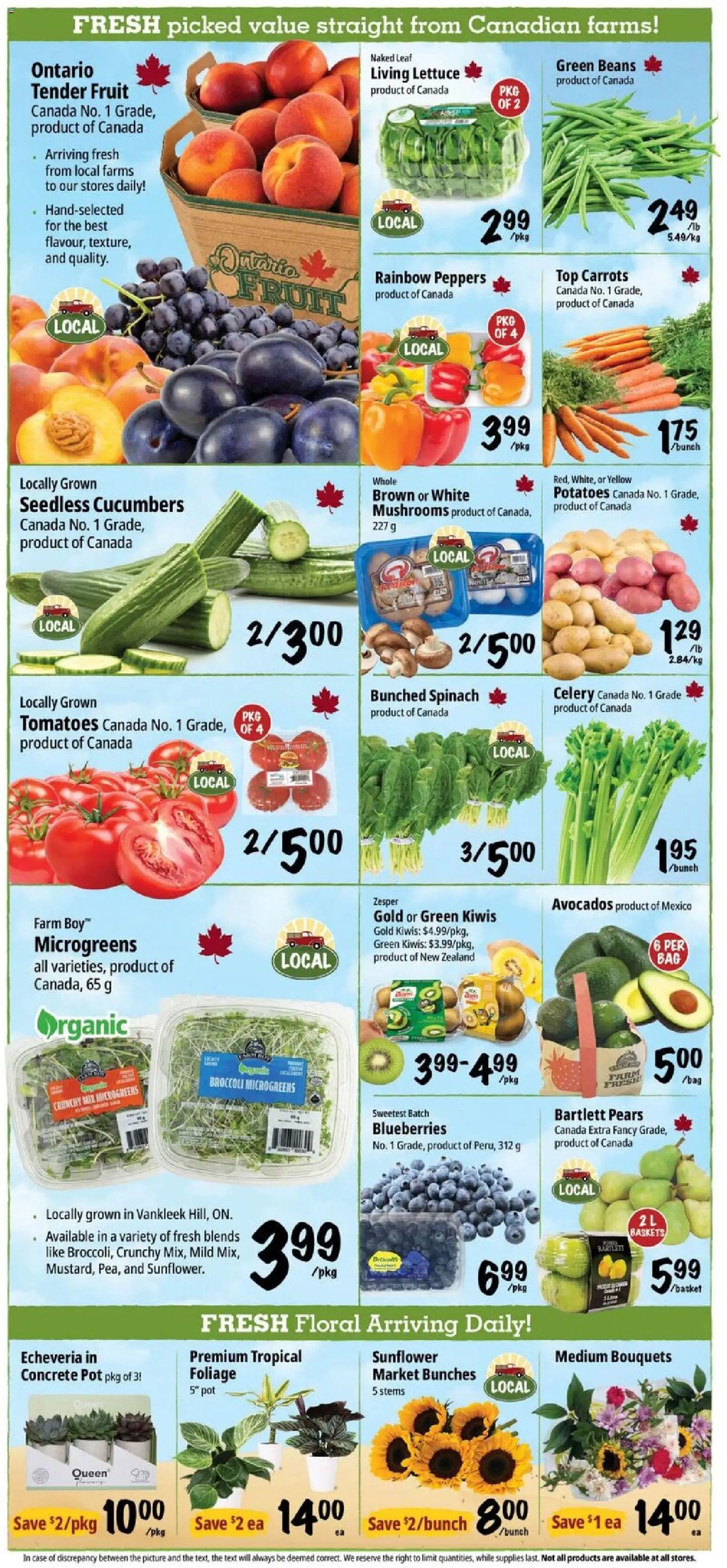 Farm Boy weekly flyer / circulaire