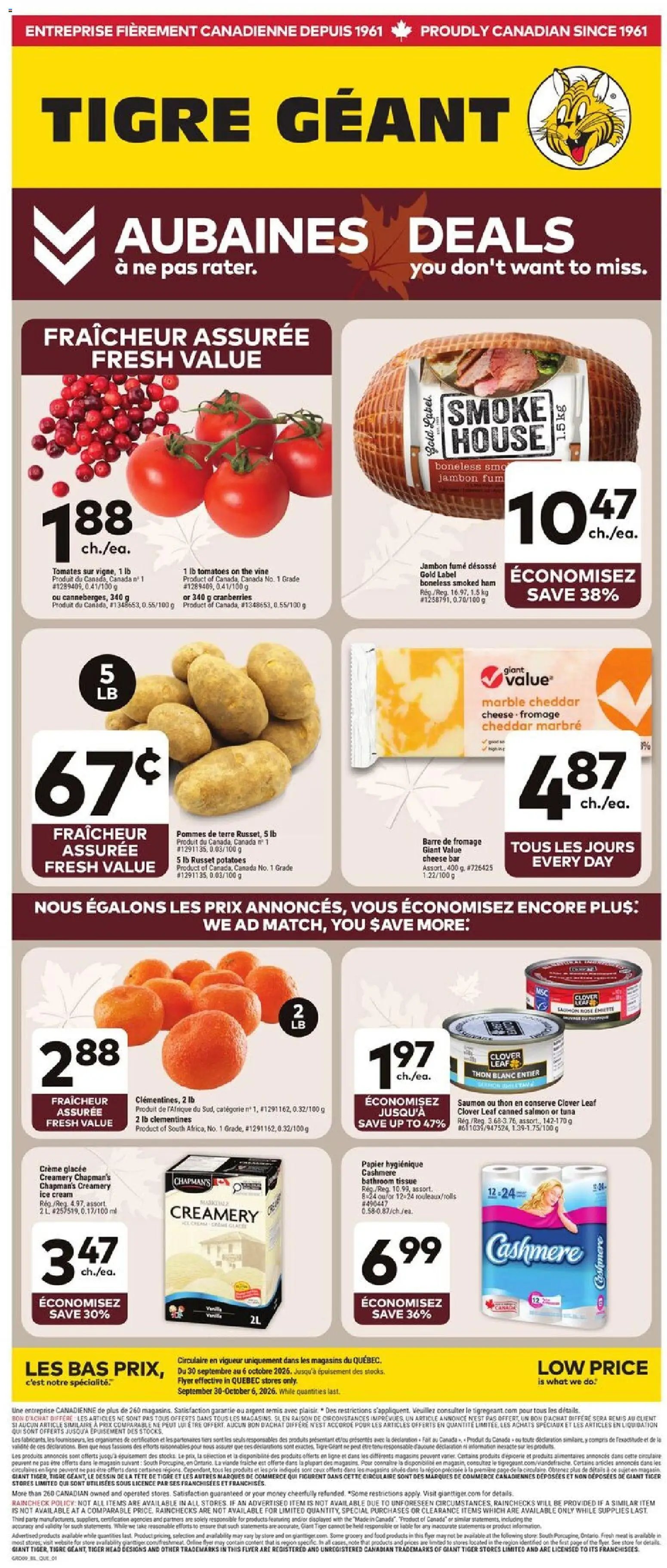 Giant Tiger Weekly Flyer