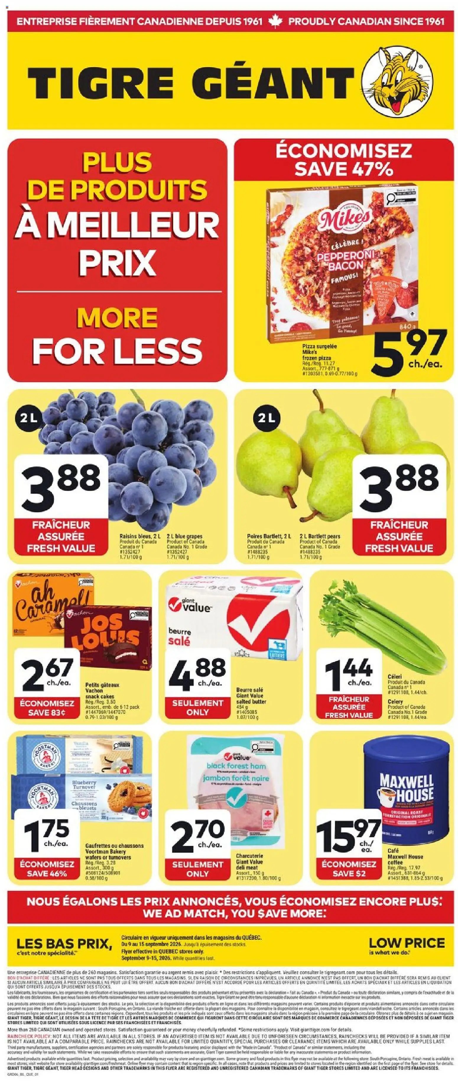 Giant Tiger Weekly Flyer