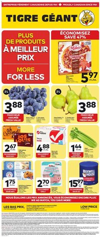 Giant Tiger Weekly Flyer