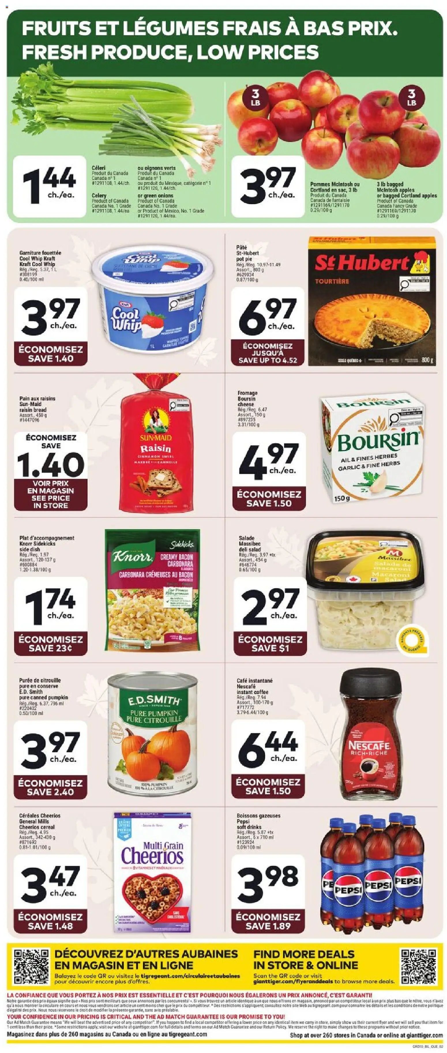 Giant Tiger Weekly Flyer