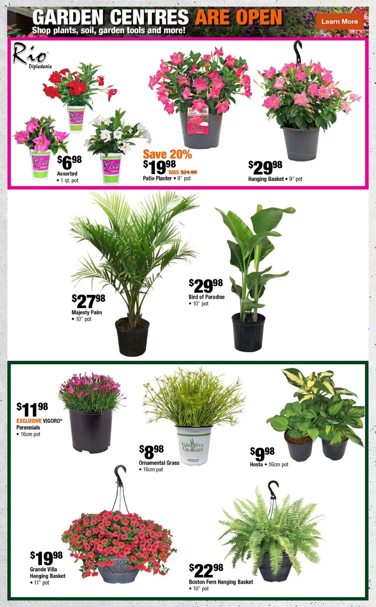 Home Depot weekly flyer - AB