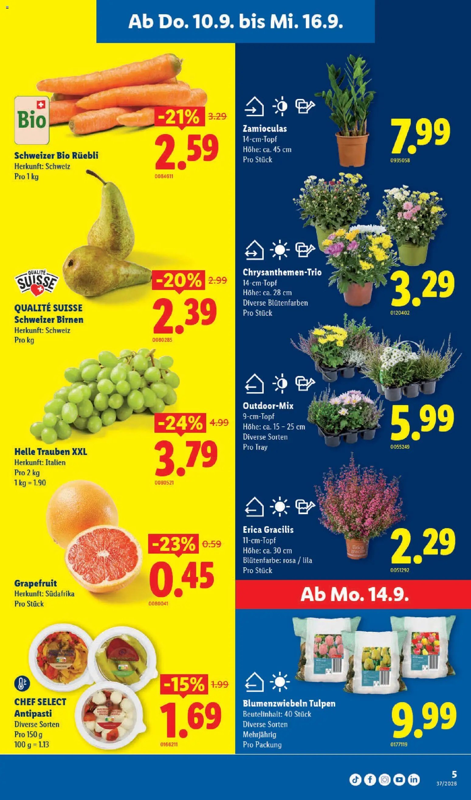 Lidl aktionen