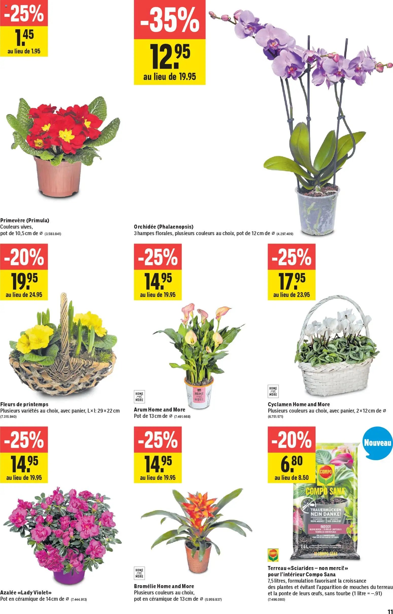 Jumbo Aktionen FR (2026-01-29 - 2026-02-11) | 11