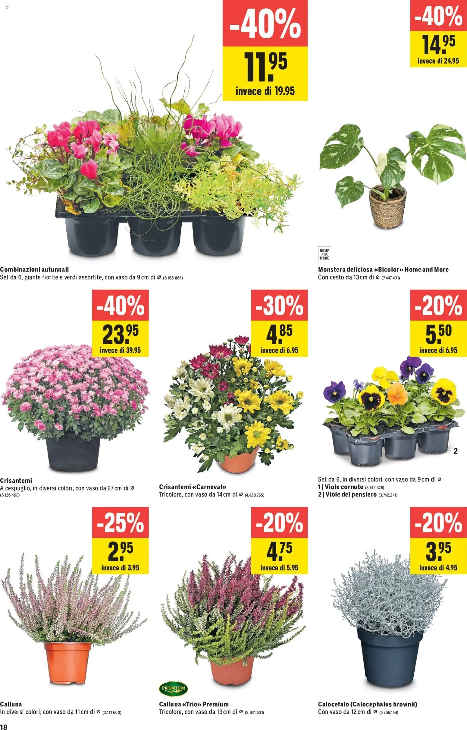 Jumbo aktionen IT