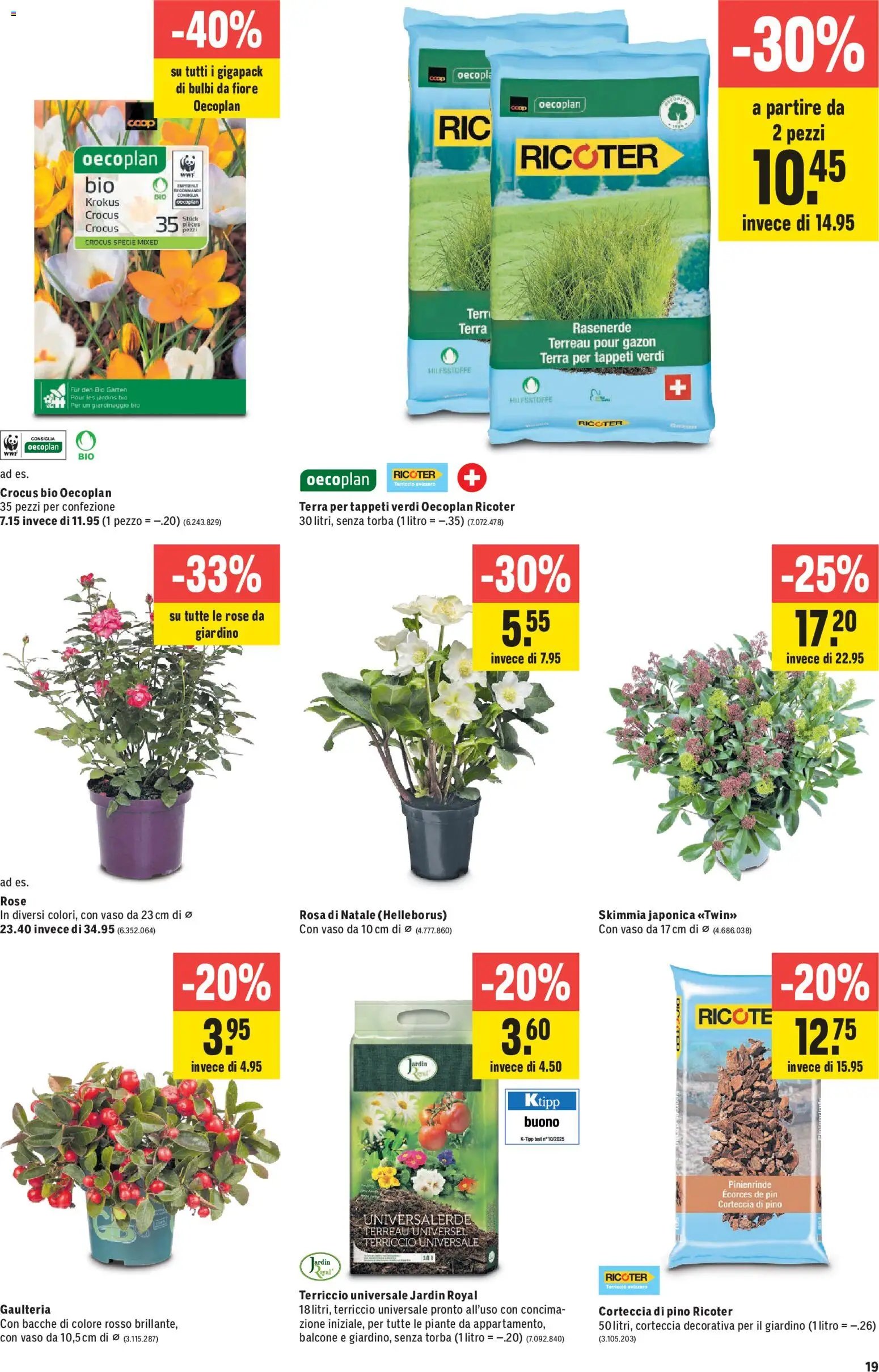 Jumbo aktionen IT