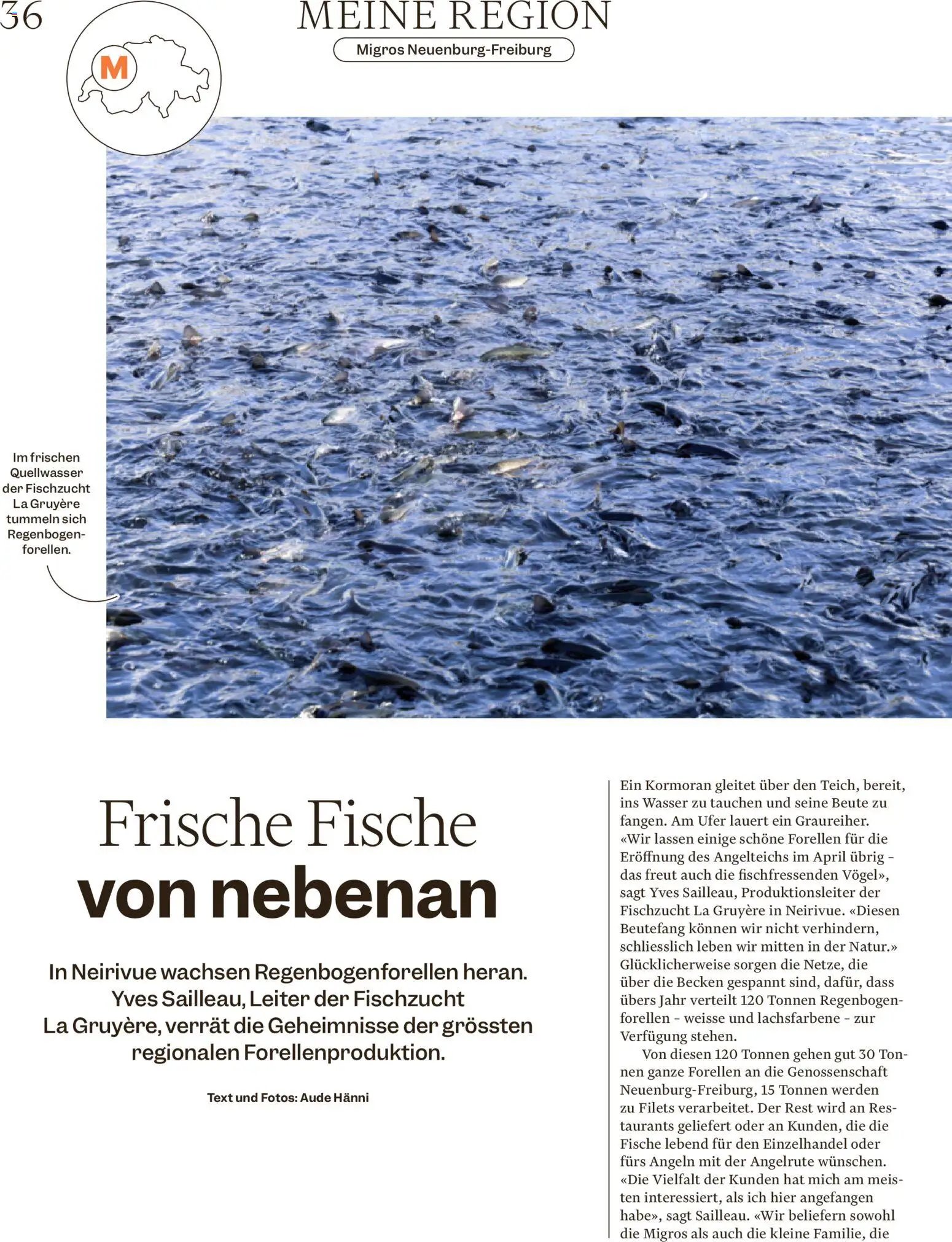 Migros Magazin (2026-02-18 - 2026-02-25)