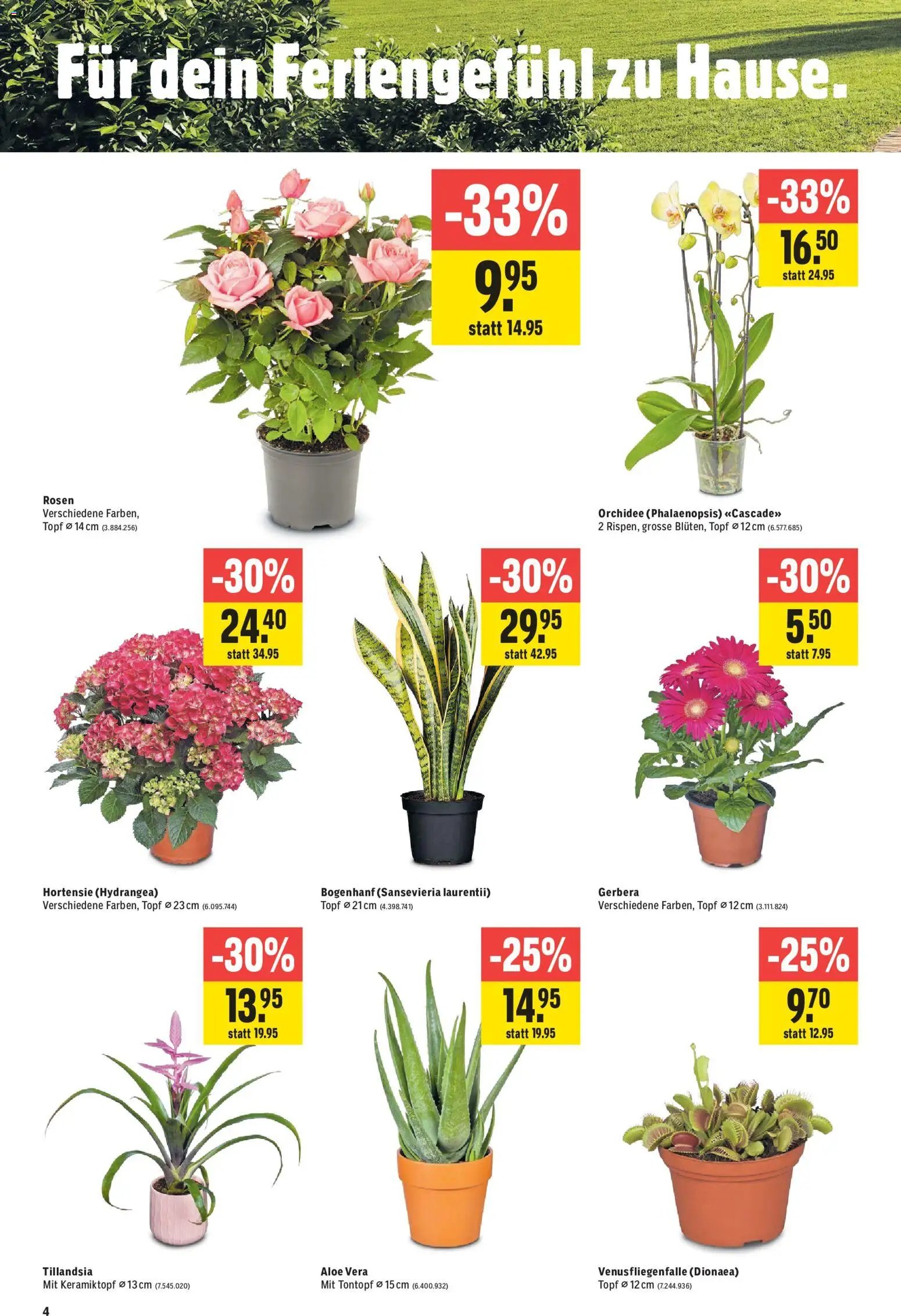 Jumbo aktionen
