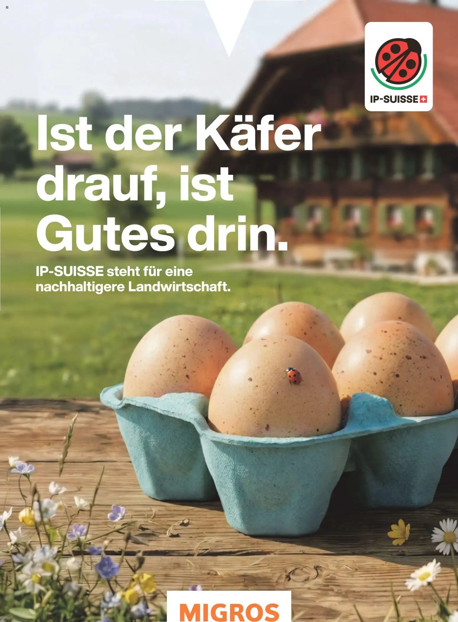 Migros aktionen Magazin