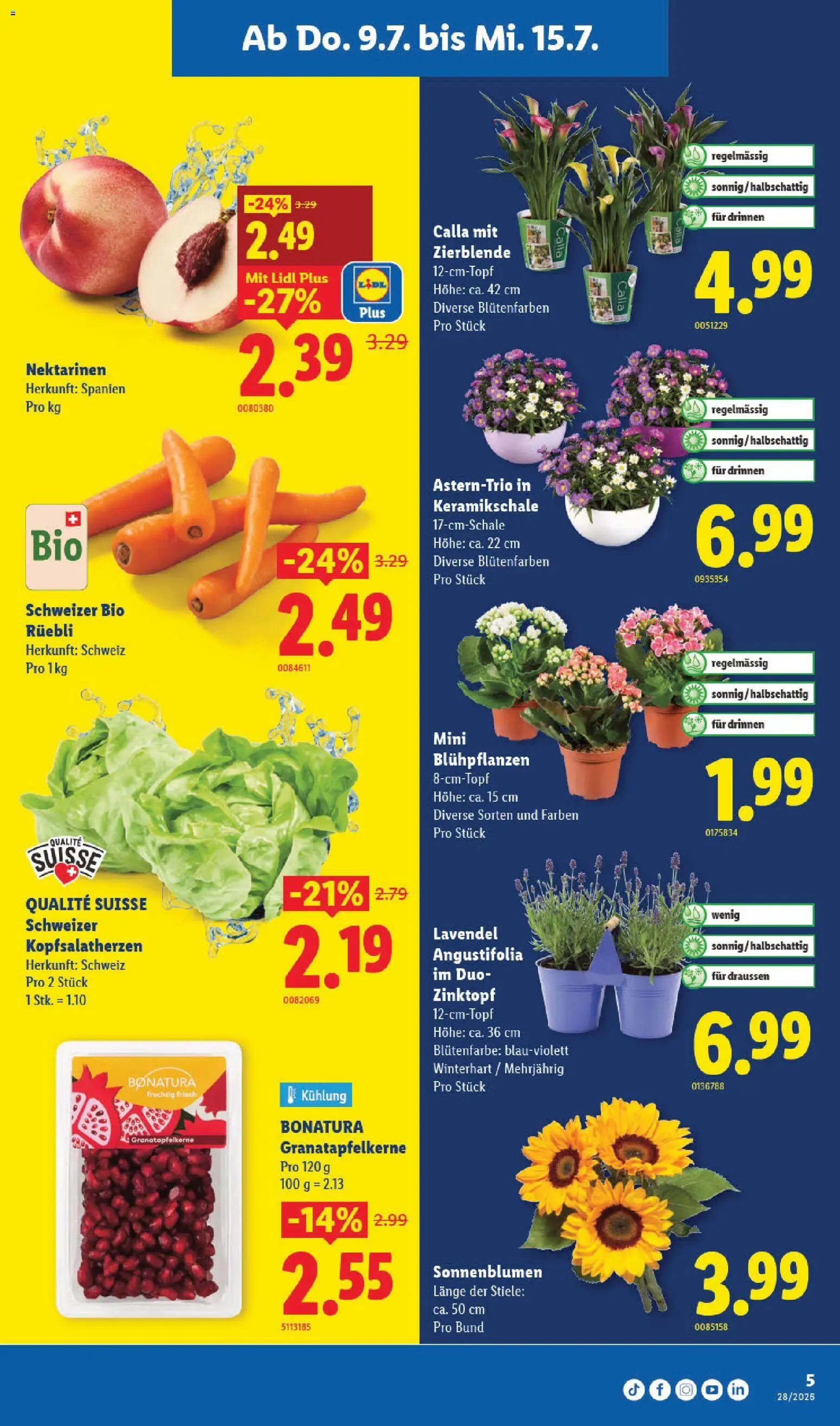 Lidl aktionen