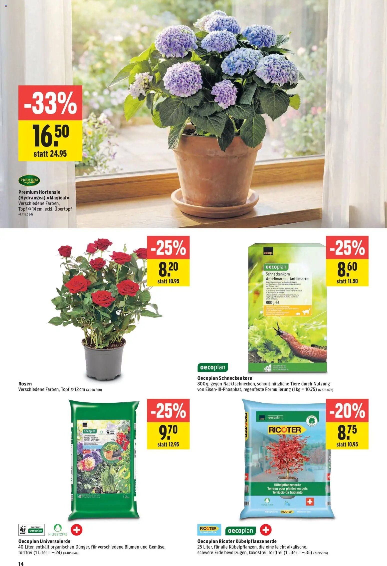 Jumbo aktionen