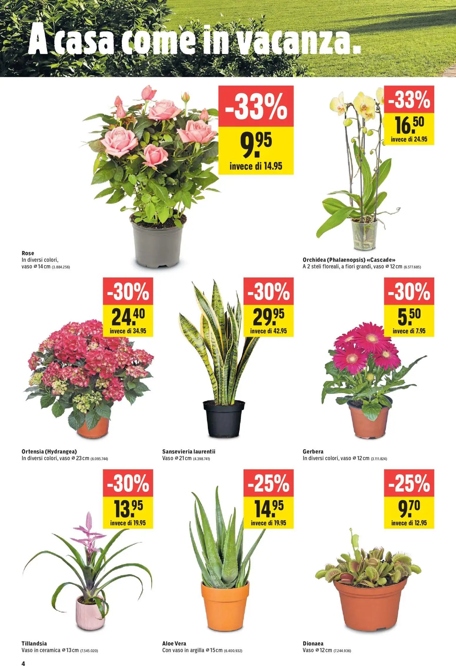 Jumbo aktionen IT