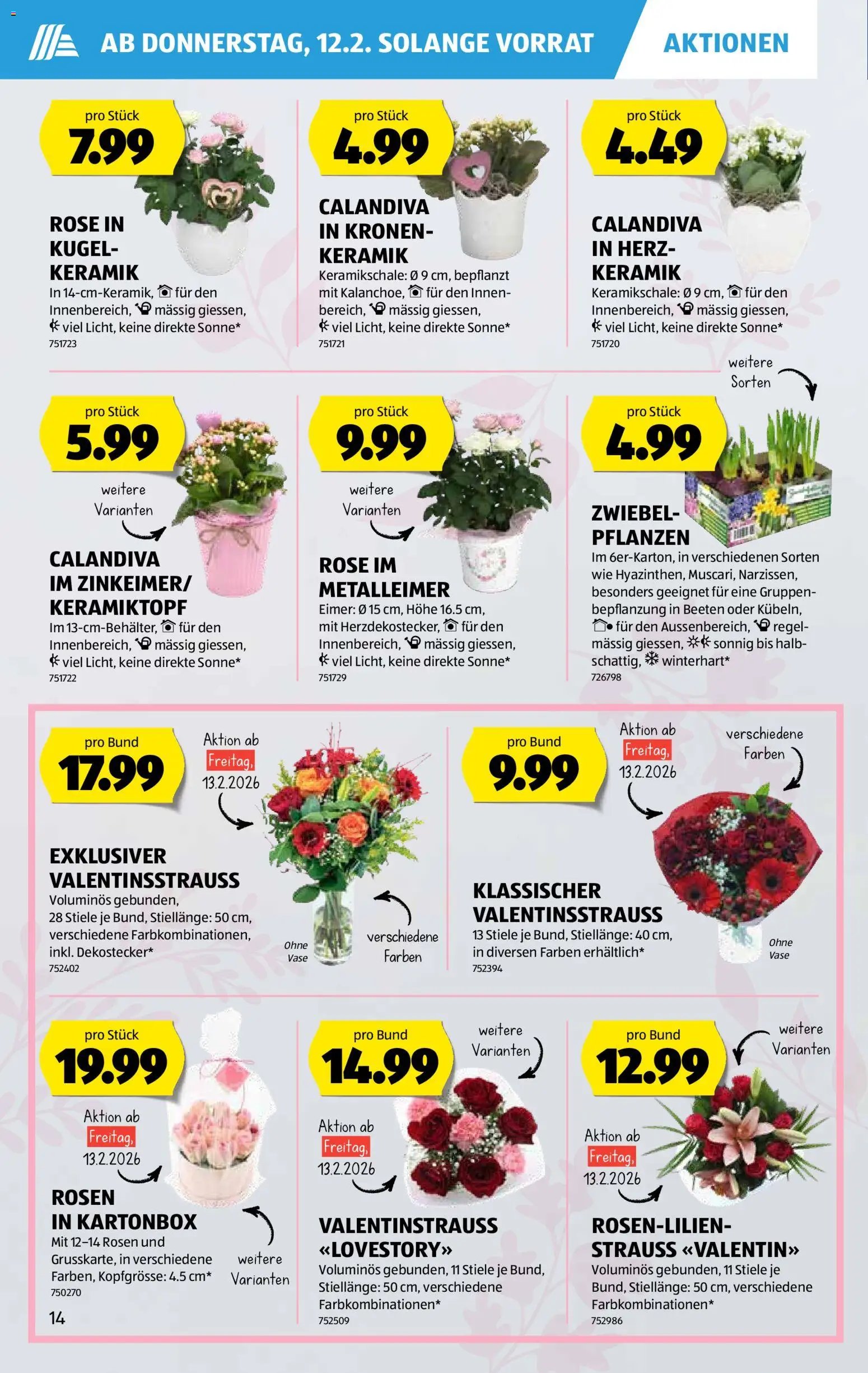 Aldi Aktionen (2026-02-12 - 2026-02-18)