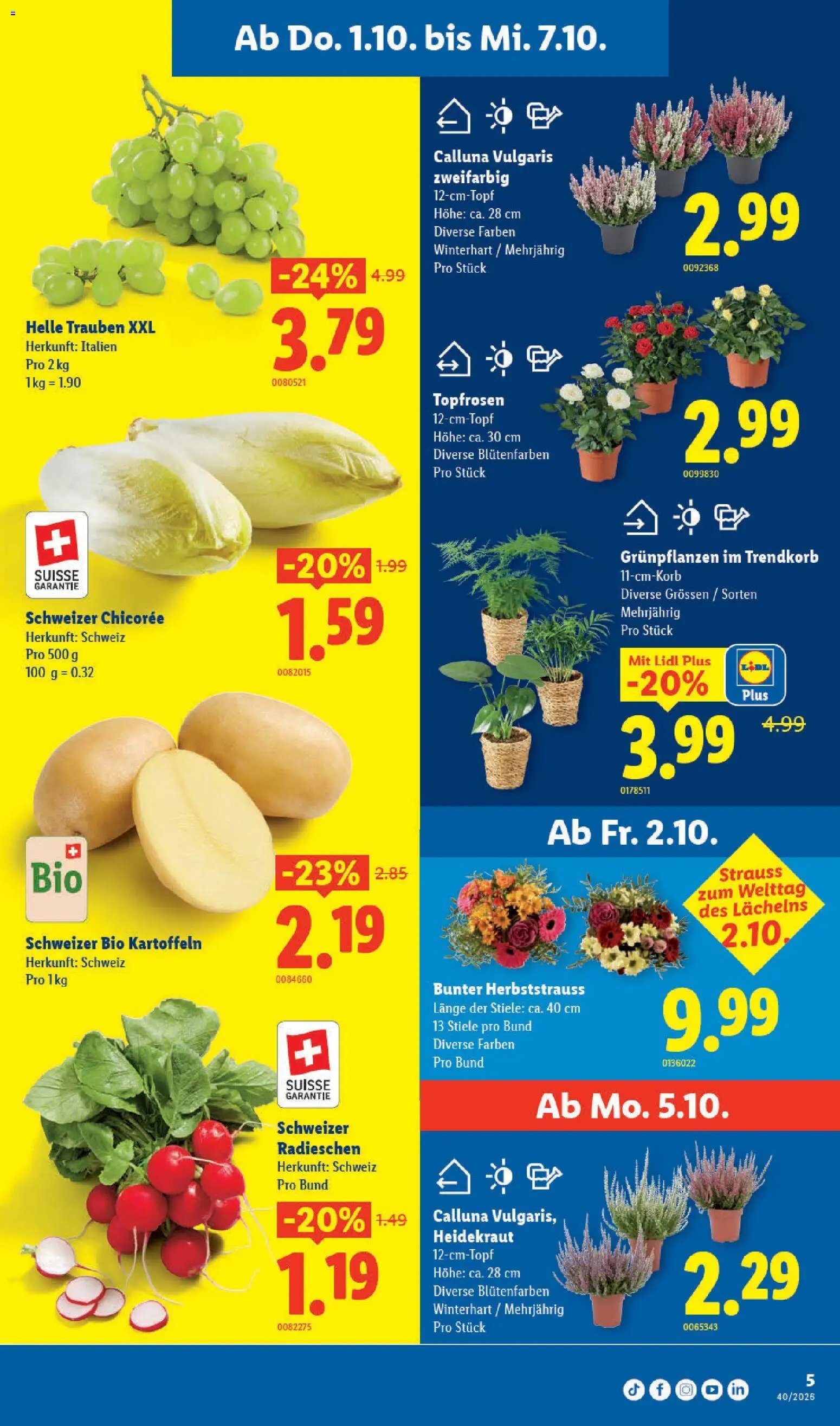 Lidl aktionen