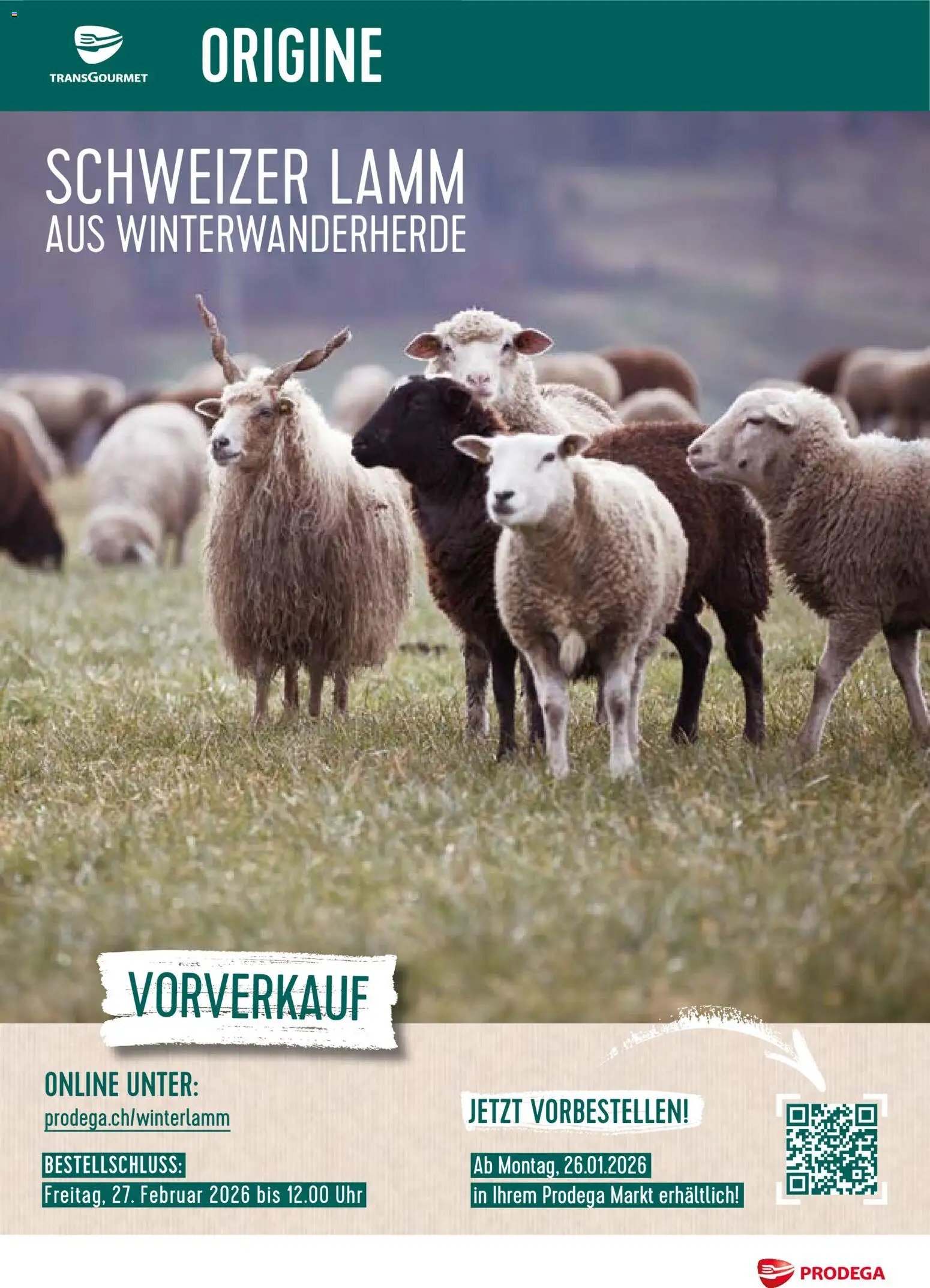 Prodega Aktionen Schweizer Lamm (2026-01-26 - 2026-02-27)