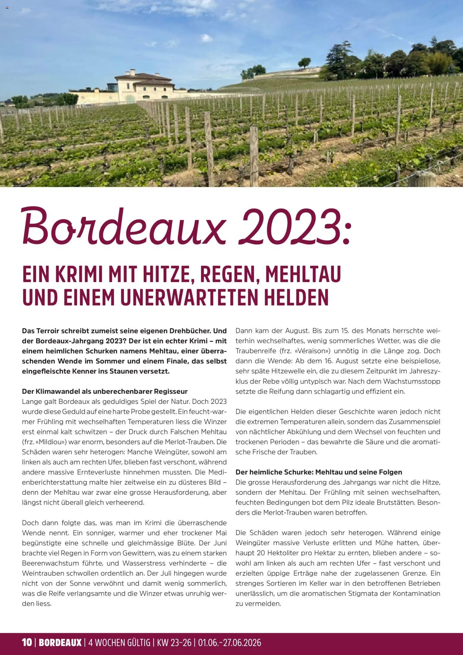 TopCC aktionen Weinfestival