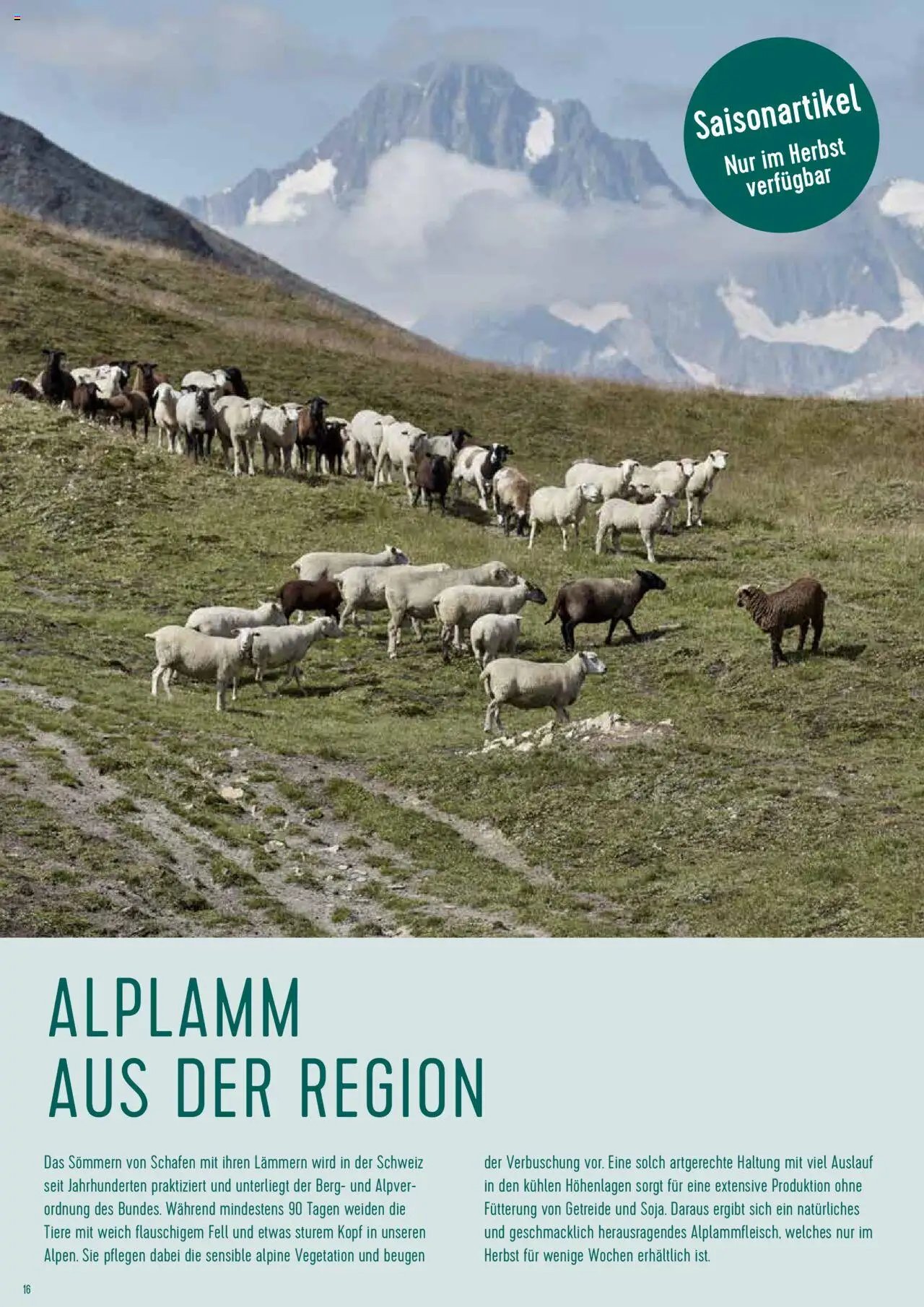Prodega Aktionen Origine Sortimentsbroschüre (2024-05-01 - 2025-12-31)
