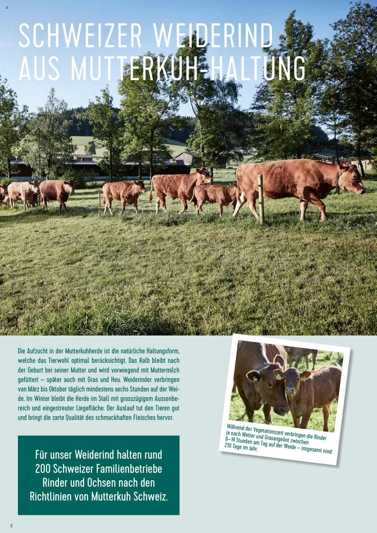 Prodega Aktionen Origine Sortimentsbroschüre (2024-05-01 - 2025-12-31)