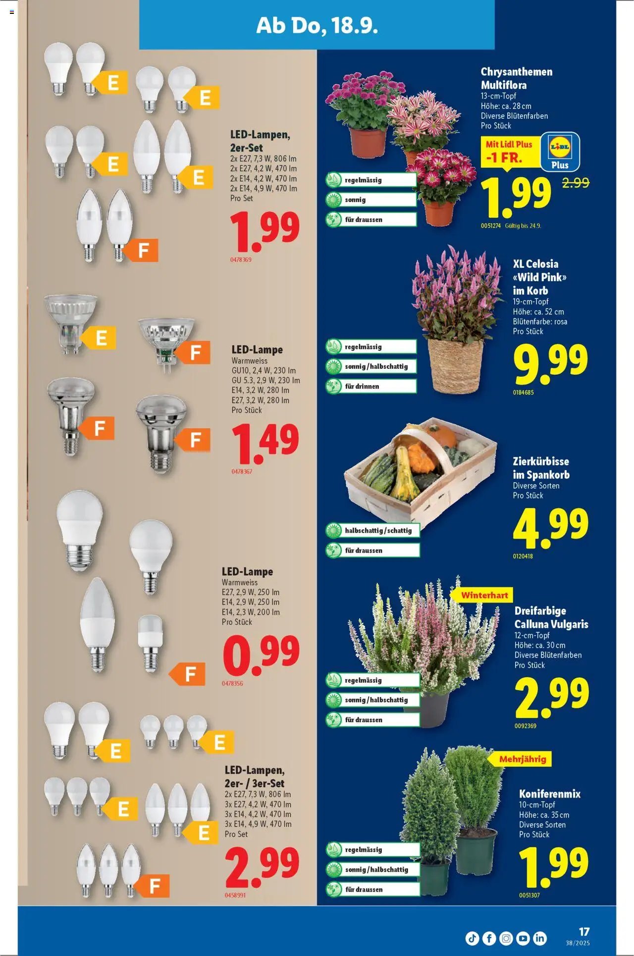 Lidl Aktionen (2025-09-18 - 2025-09-24)