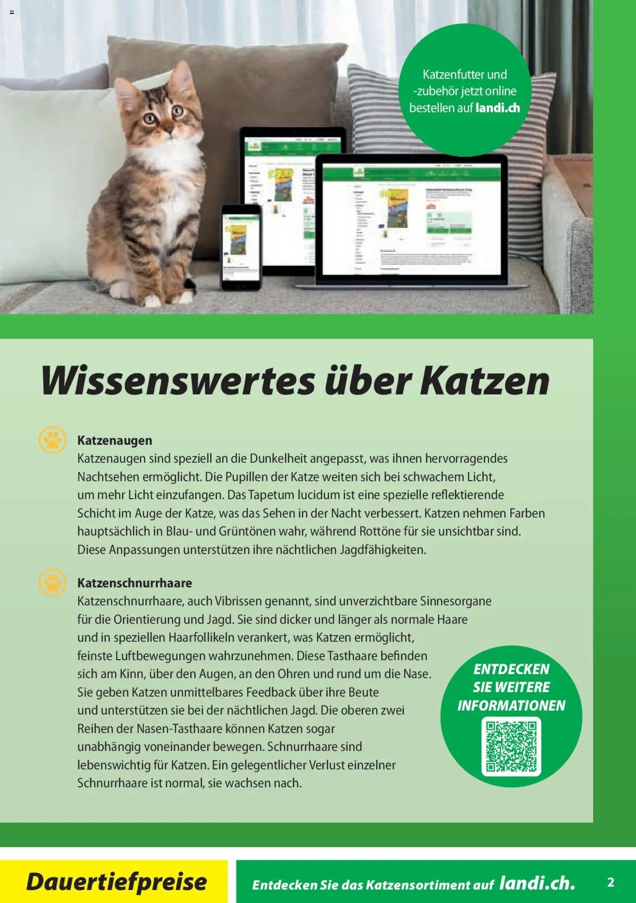 Landi Aktionen bitscat (2025-01-02 - 2025-12-31) | 2