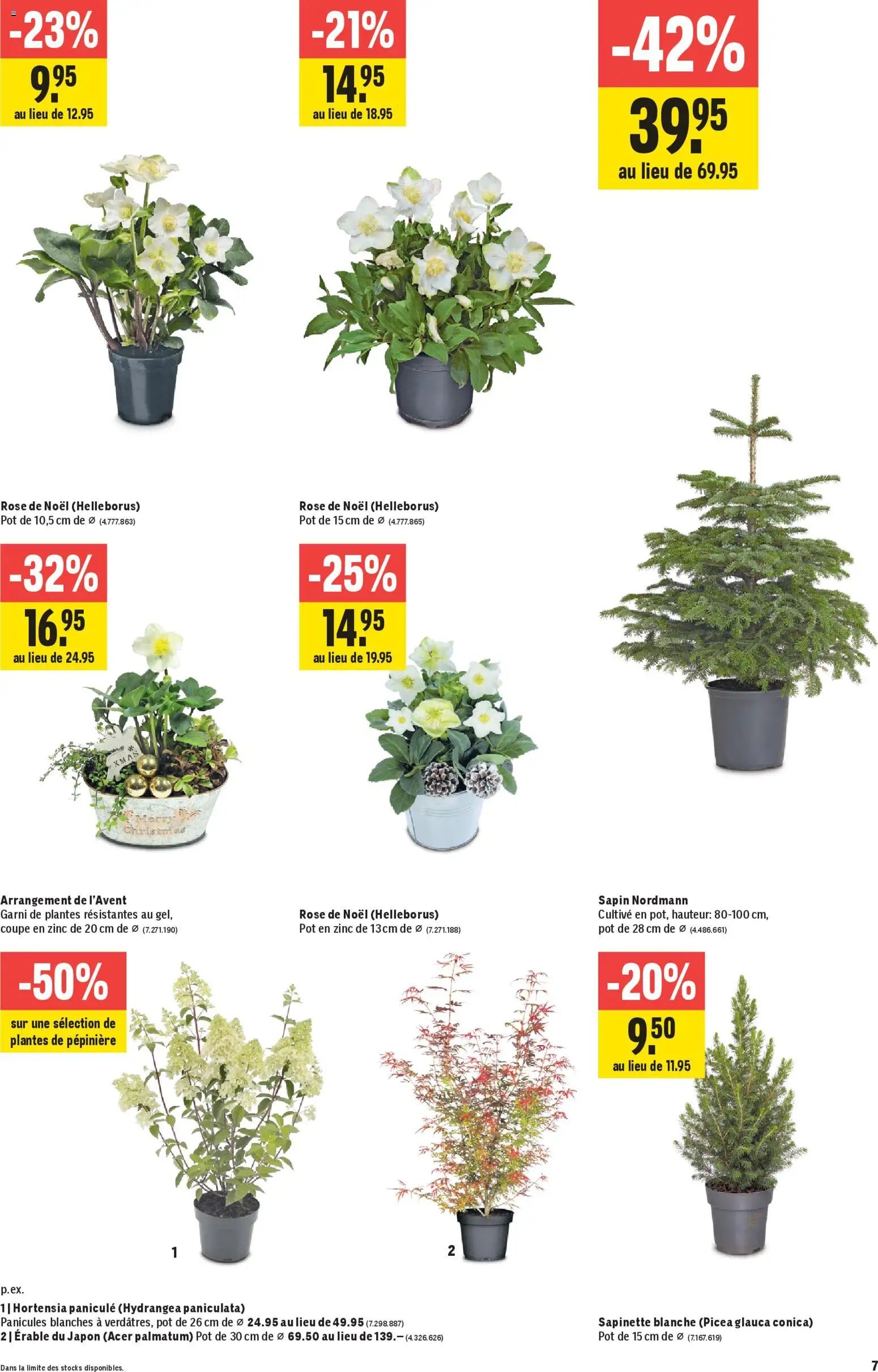 Jumbo Aktionen FR (2025-11-06 - 2025-11-19) | 7