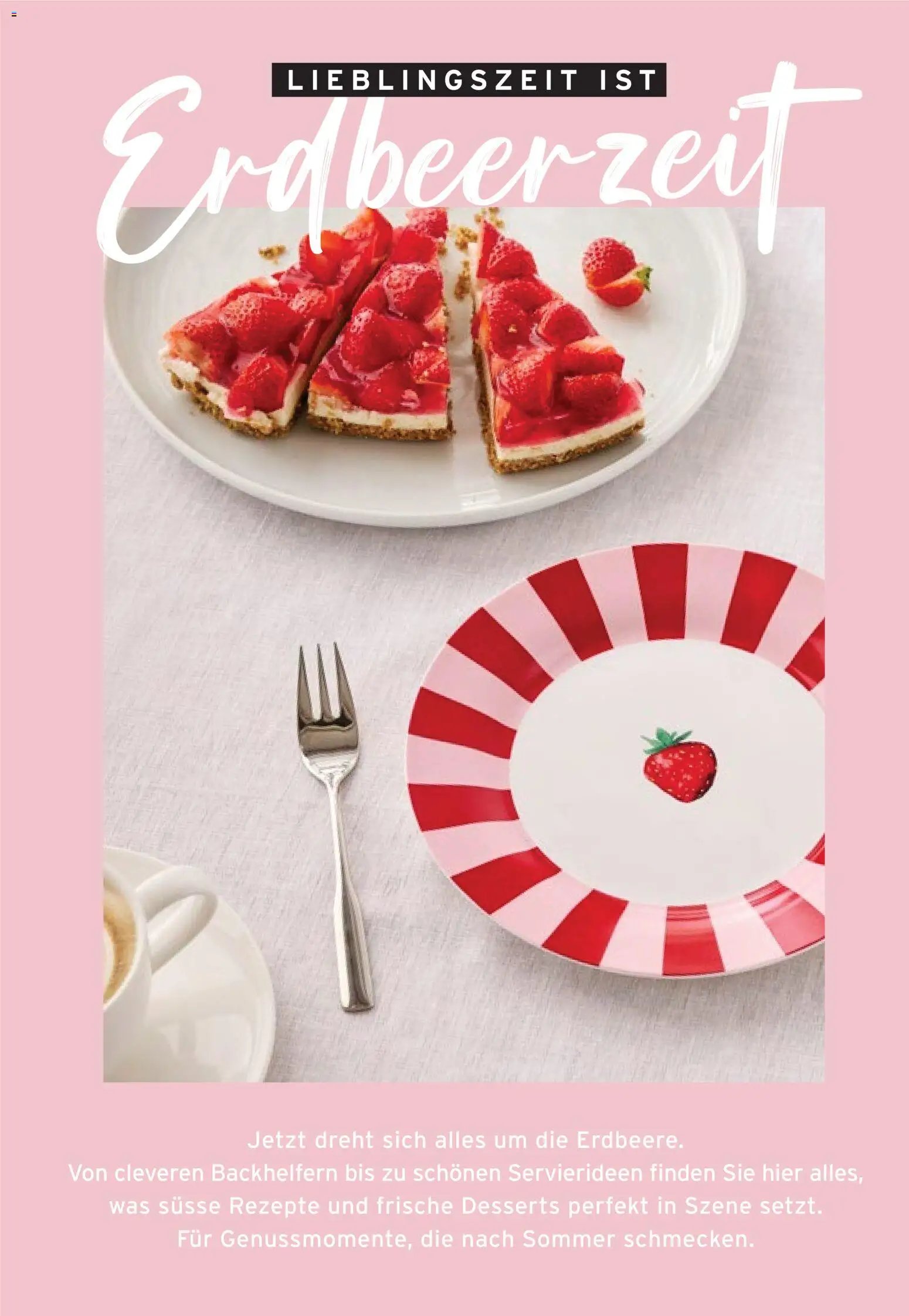 Tchibo aktionen Reisen leicht gemacht (2026-04-28 - 2026-05-11)